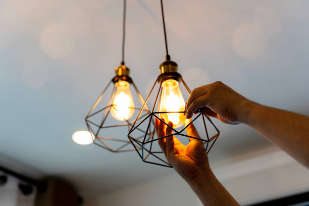 Best Electrical Installation Contractor  in Mount Pleasant, SC